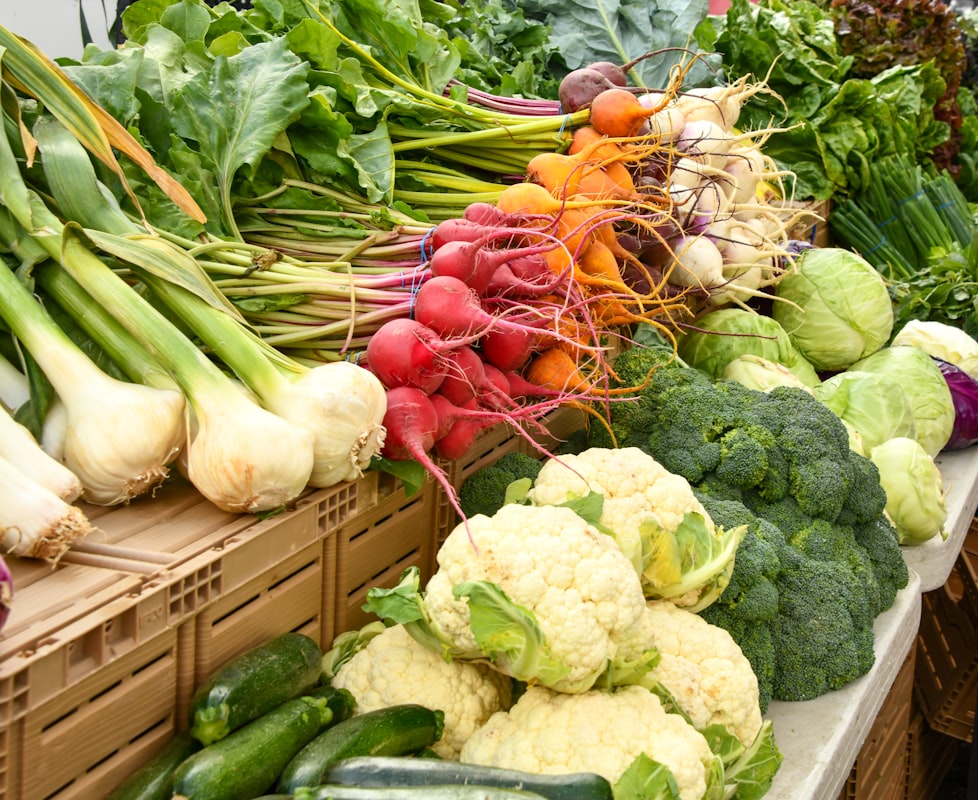 Beneficios del programa nutricional